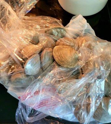 March 2022: Cherry Stone clams @ $12.99 a dozen