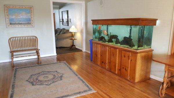 Fish Tank on the way to the Chapel and Mantle Room