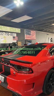 Charger special edition window tint