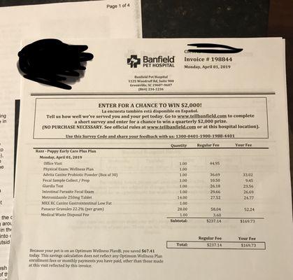 First vet bill