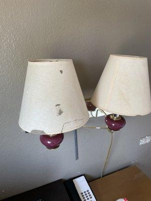 Disgusting lamps and shades