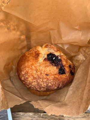 Blueberry Muffin