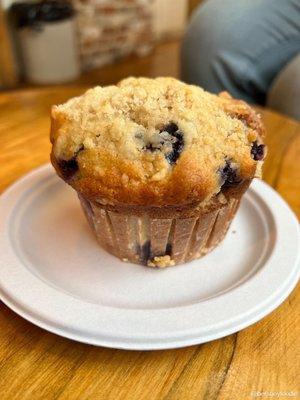 Blueberry Muffin