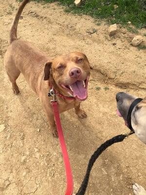 Jake loves hanging out with his buddies!