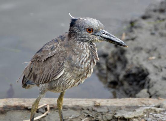 San Dieguito River Park