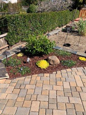 Pavers and plants