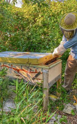 Brian of Bub's Honey