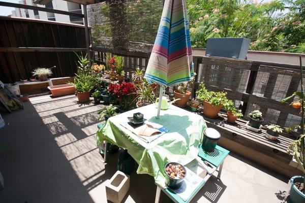 Nice gardening patio in the back of the office.