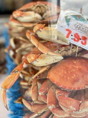 Whole Or Half Dungeness Cracked Crab