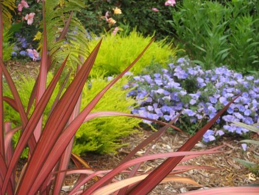 Texture and foliage color