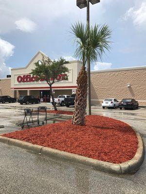 Red Mulch installation + Tree trimming