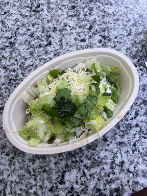 Rotted lettuce and small portion, bowl bottom visible from above.