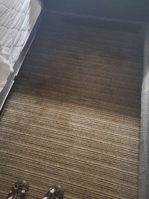 Stained carpet