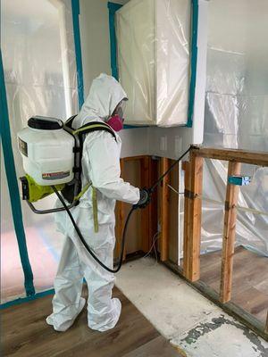 Mold Remediation