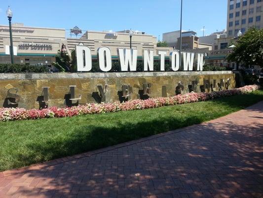 Our office is located in the Heart of Down Town Silver Spring. We are conveniently located near the Silver Spring Metro Stop ...