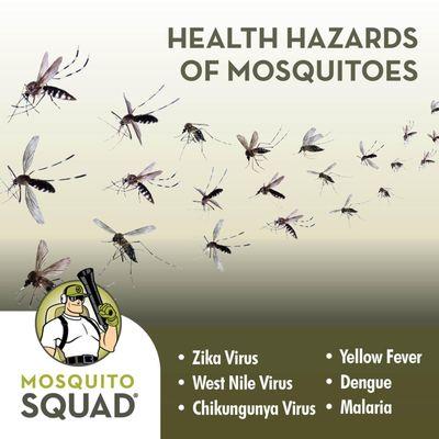 Enjoy your outdoor spaces again with Mosquito Squad of St. Petersburg's mosquito removal services...