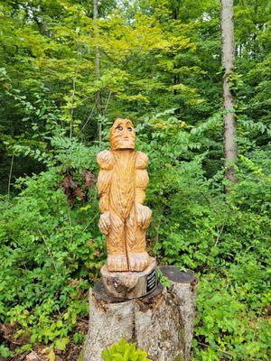 Cute Big Foot on the walking trail