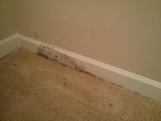 MOLD health hazards brewing in apartment 10525.