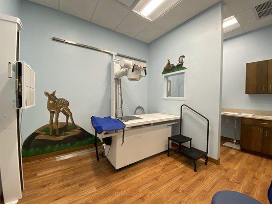 X-ray room