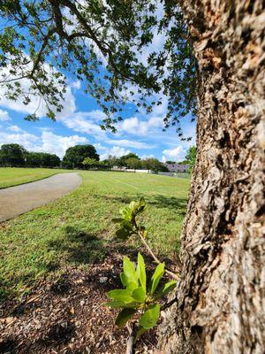 Kendall Green Park