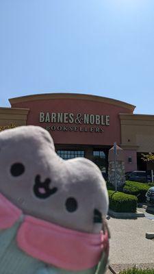 Winter Pusheen says hello at Barnes & Noble Santee!