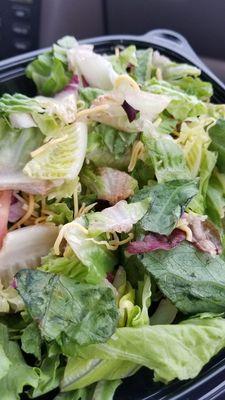 Gee thanks Burger King. One healthy option on the menu and you give me old lettuce that is wilted and turning pink.