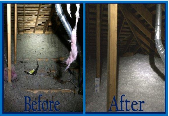 Attic Insulation