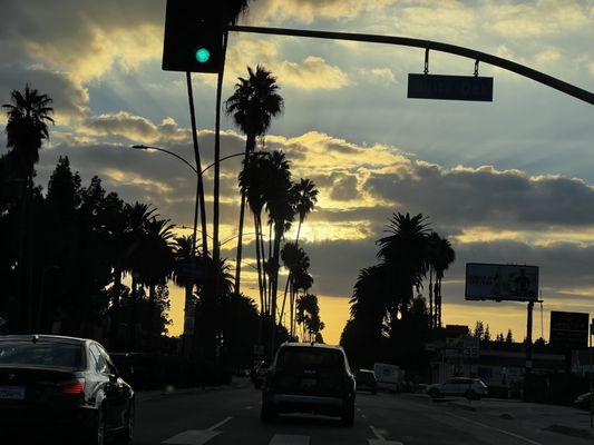 Driving sunset appreciation