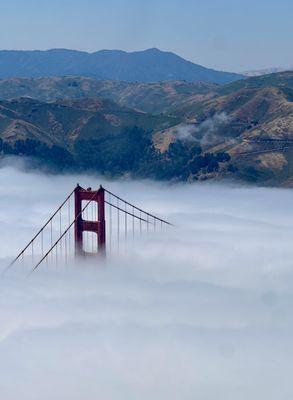 Peek a boo Golden Gate Bridge.