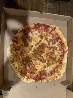 Large Sausage pizza