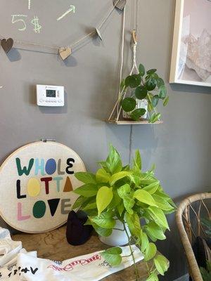 Love the pilea and other plants in the store