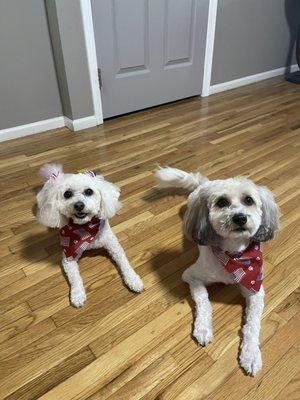 4th of July haircut! Love the bandanas!