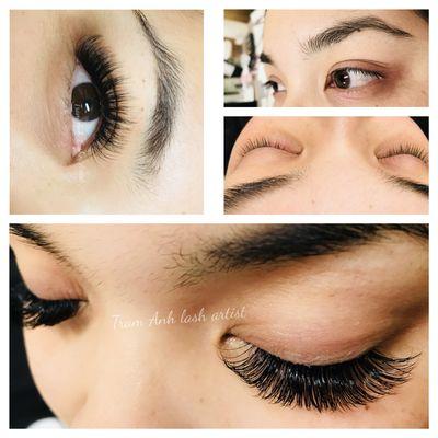 3D Lashes