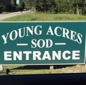 Young Acres Sod Inc