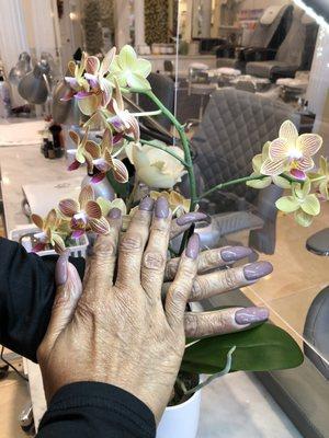 The Spa. Judy's orchid. Patricia's hands.  Nails by Michelle V.