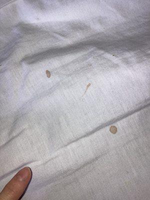 Blood specks from bed bugs