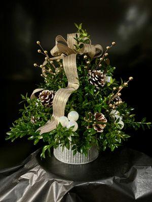 Boxwood tree