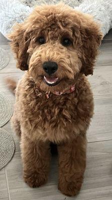 First haircut for our little girl.