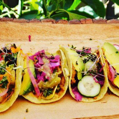 Autumn garden tacos, zuccini blossom, cured onions, fresh cucumbers, house cerde salsa, avocado slices