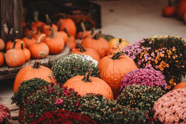 West Oaks Farm Market