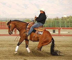 Western and children's lessons with Ashlie St. Claire