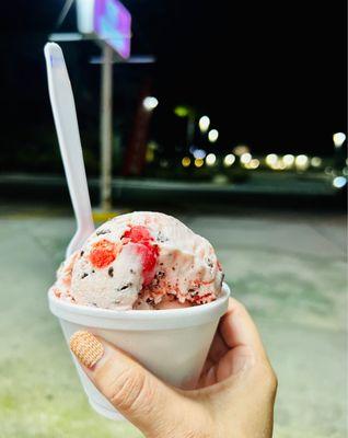 Space Coast Ice Cream