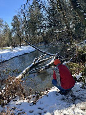 Creek after the snow