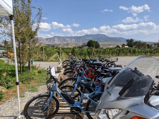 Bikes at the entrance