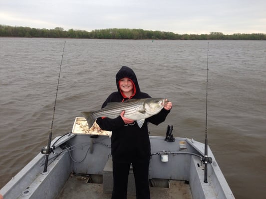 Striped Bass caught on the Delaware River abound a Bass Chaser's guided trip. WWW.DelawareRiverBass.com