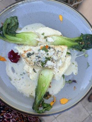 Sautéed fresh halibut over garlic mashed potatoes with lemon  garlic Bok Choy was to die for!