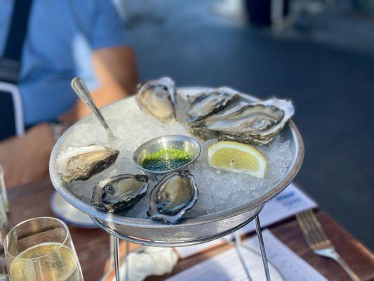 Hog Island Oyster Co.