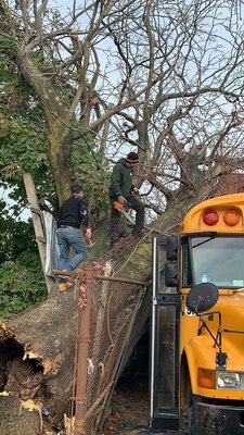 Emergency Tree Removal in Brooklyn, NY. A tree fell in a school bus parking lot after a storm.