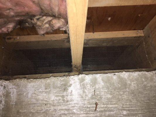 Rodent Exclusion work in crawlspace.