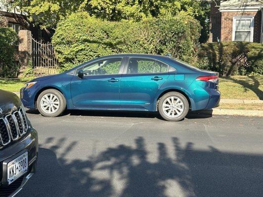 Toyota Corolla in Tahitian Teal